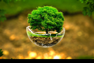ECOLOGY